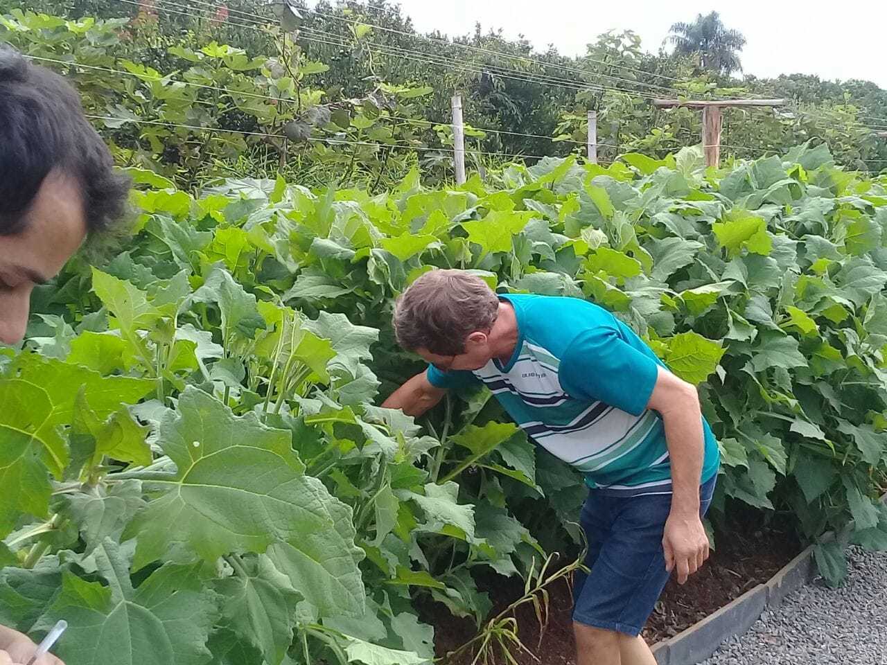 Whatsapp image 2018 03 26 at 10.05.22 min