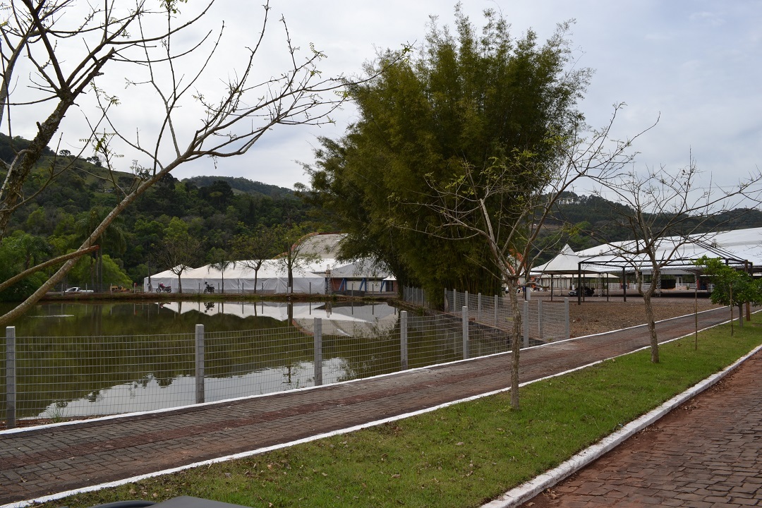 Expoara 2019 vii