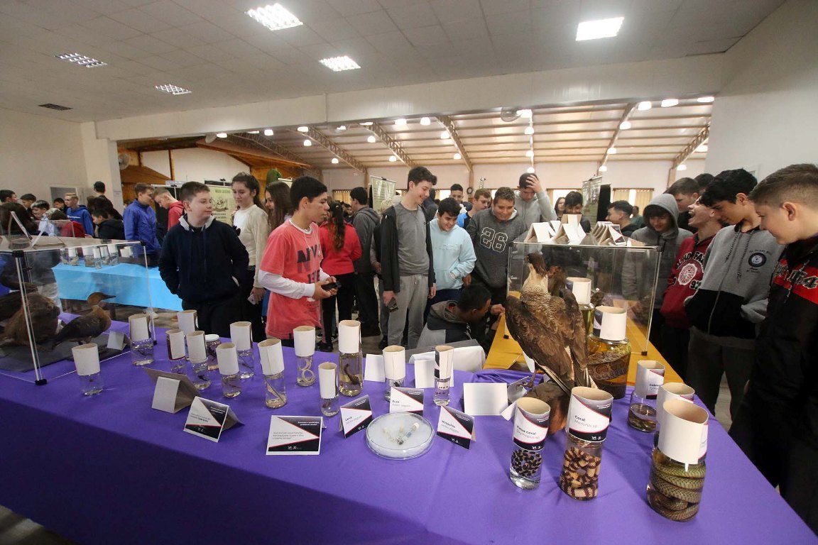 Eventomeioambiente14